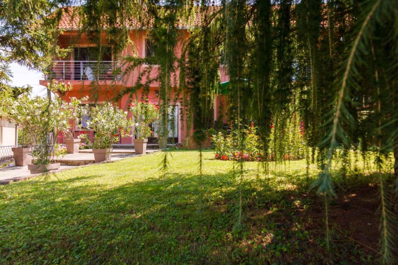 Studio 1 Golubac Eksteriør billede